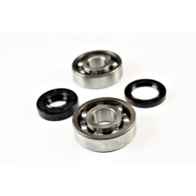 Csapágy + szimering szett MINARELLI AM6