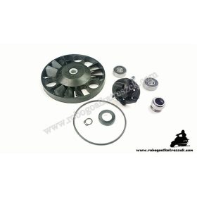   Vízpumpa felújító PIAGGIO 125 X8 2004>, X9 2001>, BEVERLY 2001-2005, VESPA GTS 2003> / GILERA 125 NEXUS 2005>, RUNNER 2000> / APRILIA 125 ATLANTIC 2003>