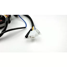   Gyújtás alaplap állórész 4T GY6 6 tekercses, 4 ütemű kínai robogóhoz TIP 3