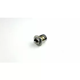 Termosztát AM6 / Aprilia SR / Malaguti / Yamaha
