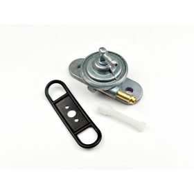 Benzincsap Suzuki AG