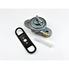 Benzincsap Suzuki AG