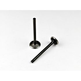 Szelep szett 4T LIFAN LF86