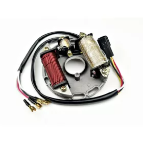 Gyújtás alaplap állórész QUAD 110ccm 2 tekercses
