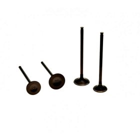 Szelep szett ZONGSHEN DT190