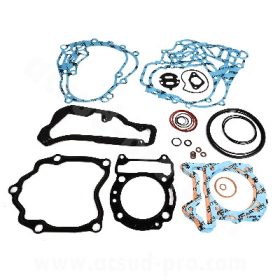   Tömítés szett PEUGEOT GEOPOLIS/SATELLIS 250 (2006-09) PIAGGIO X8 200/250 (05-08), APRILIA ATLANTIC 250 (03-08) DERBI GP1 250 (06-08),GILERA NEXUS 250 (06-07), MALAGUTI 250 (04-09)